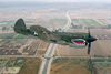 POF8_4435dt.jpg