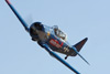 RN6_1359t.jpg
