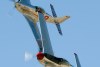 RN5_6475t.jpg