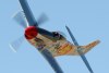 RN5_6489t.jpg