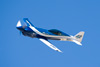 RN8_2159t.jpg
