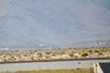 Reno_2014-20799t.jpg