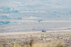 Reno_2014-75832t.jpg