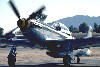 P-51