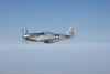 P-51