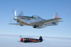 P-51
