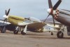 P-51